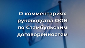 О комментариях руководства ООН по Стамбульским договоренностям О комментариях руководства ООН по Стамбульским договоренностям